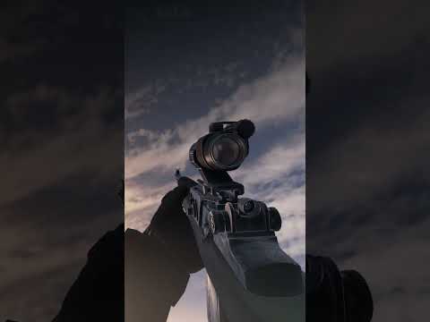 Видео: КРАТКИЙ ОБЗОР М14 DMR В DAYZ 1.23 #dayz #shorts