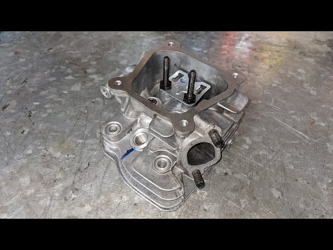 Видео: ПОРТИРУЙТЕ ВАШЕГО ХИЩНИКА ДЛЯ ЧИСТОЙ МОЩИ*