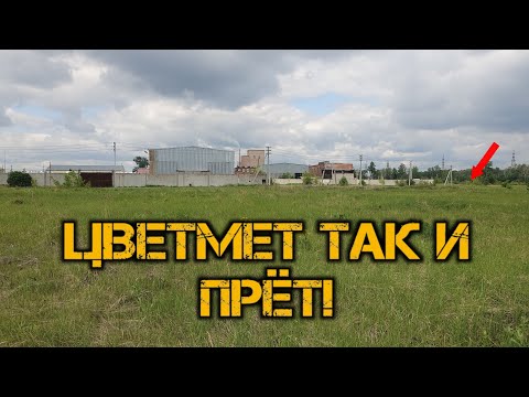 Видео: ВСЁ УСЕЯНО ЦВЕТМЕТОМ. Раскопки металлалома на свалке.