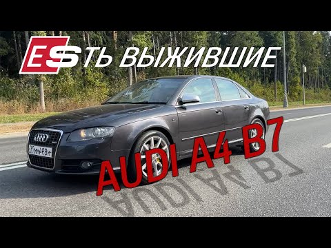 Видео: Audi A4 B7 - мой первый лучший автомобиль