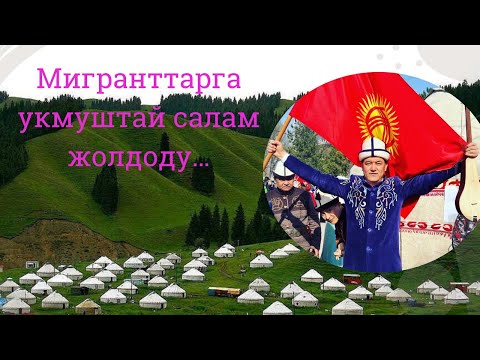 Видео: Мигранттарга салам//Турат Жумаев.2024.