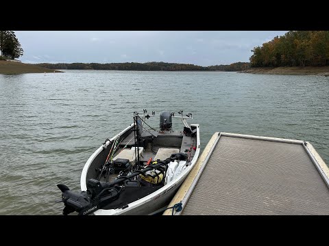 Видео: Иногда нужно просто проверить ситуацию