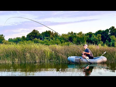 Видео: РИБАЛКА на САЗАНА!!! ШНУР ТРІЩІТЬ!!! Карась КЛЮЄ В ЗАБРОС!!! Рибалка в рогозі🌾🌾🌾!!!