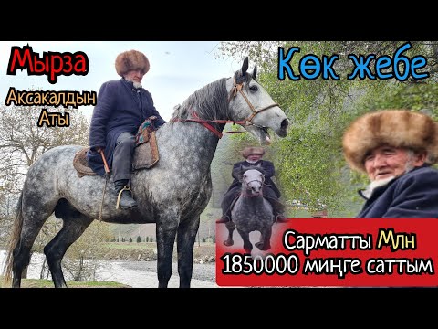 Видео: Атты чапкан АКСАКАЛ КӨК ЖЕБЕНИ КӨРСӨТТҮ 👍САРМАТ миллион сегиз жүзгө кетти деди