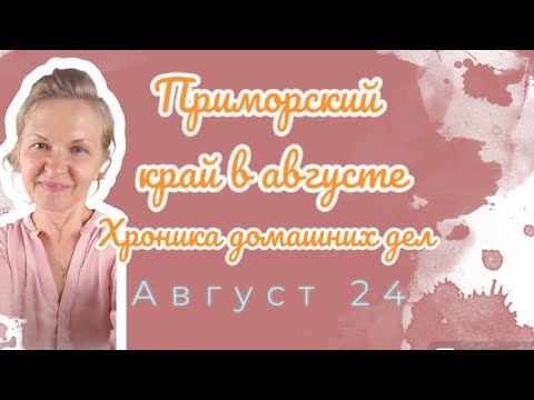 Видео: Сбор и заготовка перца. Посадка нового урожая зелени. Хроника жизни на память.