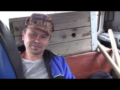 Видео: Охотничьи истории. Сезон 2. Охота на барсука (1 серия)