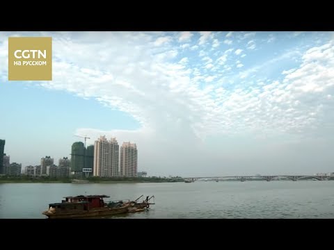 Видео: Китай на кончике языка Серия 6 Гармония пяти вкусов Часть 2 [Age0+]