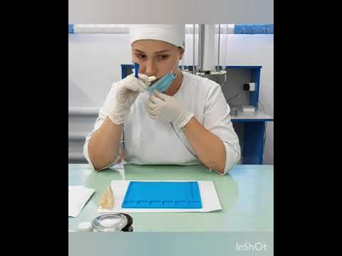 Видео: Тема: Суппозитории. Преподаватель: Бримжанова А.А.