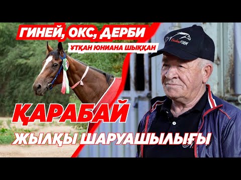Видео: Гиней, ОКС, Дерби ұтқан Юниана шыққан Қарабай жылқы шаруашылығы