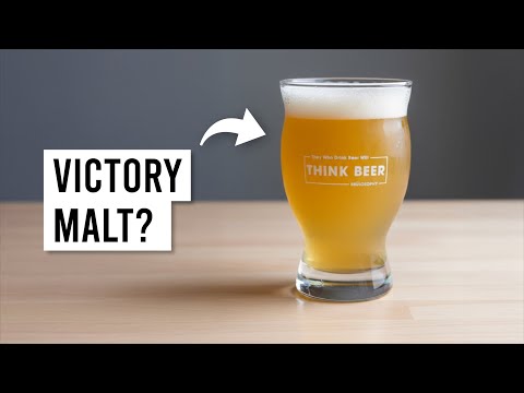 Видео: Влияние VICTORY MALT на праздничное пиво | exBEERiment