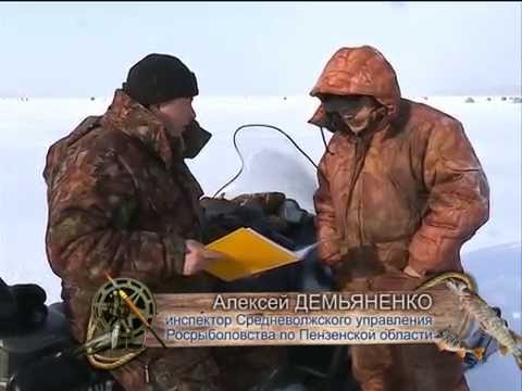 Видео: Рыбак Рыбаку 434 "Рейд Рыбохраны".