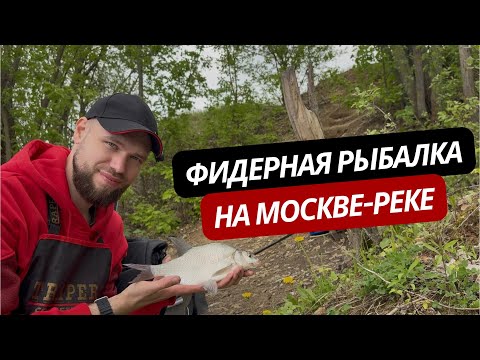 Видео: Фидерная рыбалка на Москве-реке