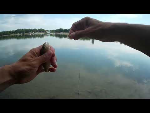 Видео: Спиннинг Crazy Fish Nano Zero!!!  Моя обновочка и бешенный клев окуня!