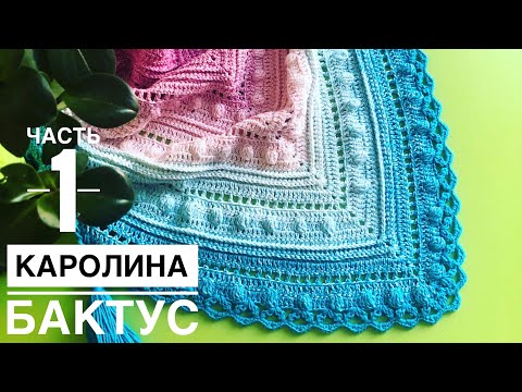 Видео: Часть 1.Бактус «Каролина»