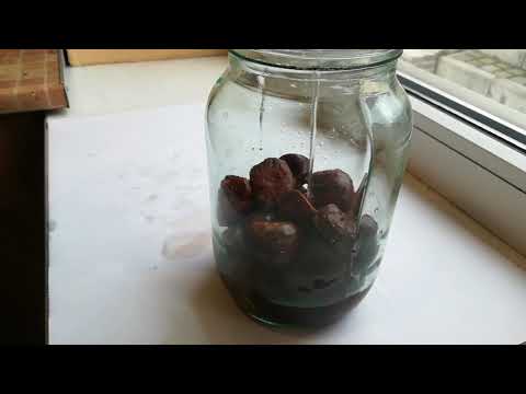 Видео: Приготовление настойки каштана в домашних условиях/приготування настоянки каштану в домашніх умовах