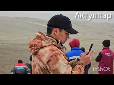 Видео: 7 декабря 2024 г.