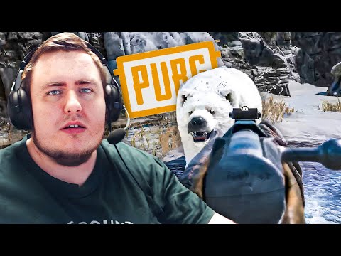 Видео: НАПАЛИ НА БЕЛОГО МЕДВЕДЯ С РЕКОМ / ОБНОВЛЕНИЕ В PUBG