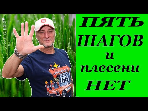 Видео: Пять шагов к успеху. Эпизод 1. Зеленый босс.