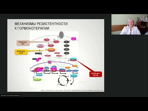 Видео: Лекарственное лечение рака молочной железы (вебинар 17 марта 2022)