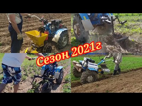 Видео: Выращивание картофеля с мотоблоком НЕВА МБ-2 сезон 2021