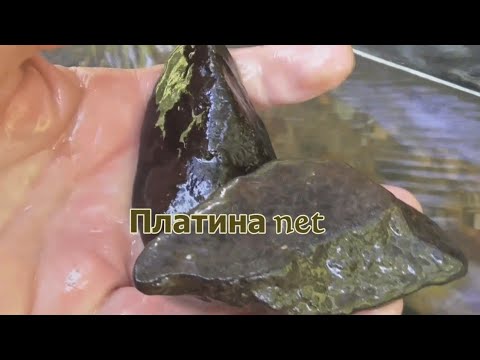 Видео: Платина net