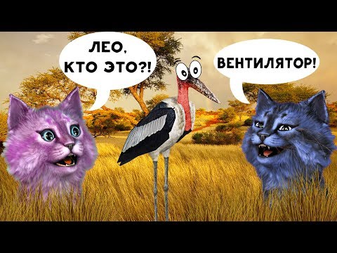 Видео: Я СЪЕЛА ЛЕО?! ДИКАЯ САВАННА В РОБЛОКС roblox Wild Savanna