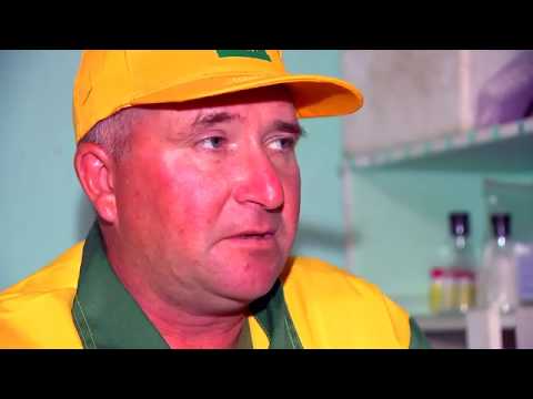 Видео: Конные заводы  Конный завод «Роща»  Часть 2