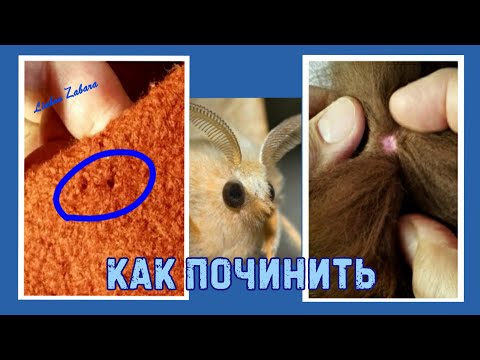 Видео: МОЛЬ ПРОЕЛА ДЫРКУ. Как зашить (заделать) дырку от моли на пальто, меховой одежде.