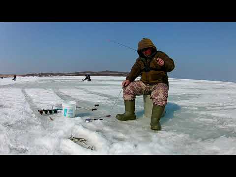 Видео: СЕЗОН 2021г КОРЮШКА НА МАХАЛКИ!!! КЛЮЁТ КАК С ПУЛЕМЁТА!!! Охота и рыбалка На Дальнем Востоке