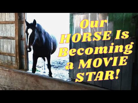 Видео: Наша ЛОШАДЬ будет сниматься в ФИЛЬМЕ!
