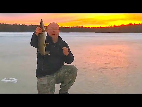 Видео: Рыбалка в Карелии. С двумя ночёвками на таёжное озеро.