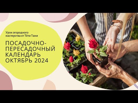 Видео: КАЛЕНДАРЬ ТРИГОНОВ. Октябрь 2024. Посадка-пересадка-прикопка.