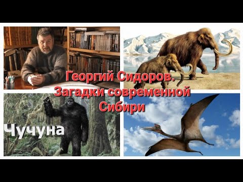 Видео: Георгий Сидоров - про мамонтов и снежного человека в Сибири. Незапланированное интервью