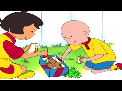 Видео: Каю и Птичка | Каю на русском | Мультфильм Каю | Мультики для детей