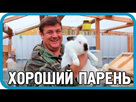 Видео: Хороший парень: о кроликах, курах и БАННОМ ЧАНЕ