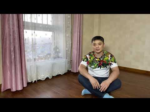 Видео: Нохой сургах арга #2 | Гөлөг хазах буруу зуршилыг зөв сургах | Nohoi surgah arga |