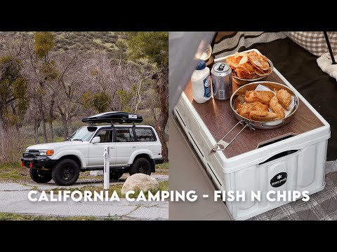 Видео: Приготовление рыбы с картофелем фри в кемпинге | Калифорнийский кемпинг | Land Cruiser 80