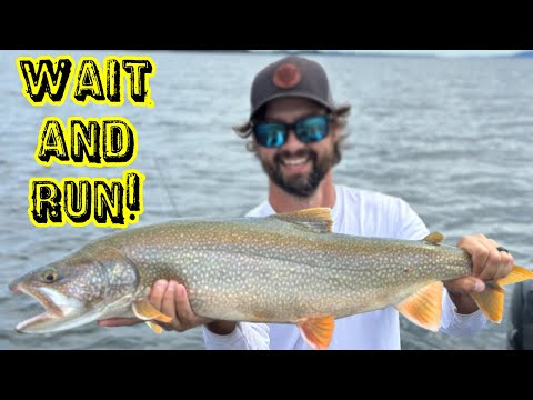 Видео: СМЕРТЕЛЬНЫЙ метод ловли озерной форели на джиг!