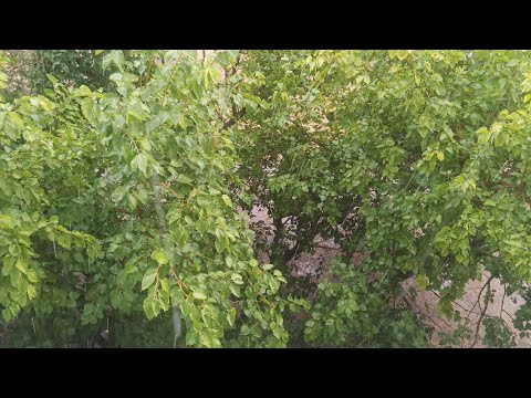 Видео: Kosmiks Varvar TV в прямом эфире! Аккаунт Космикс круто идём на канале ютюб.Подпишитесь.