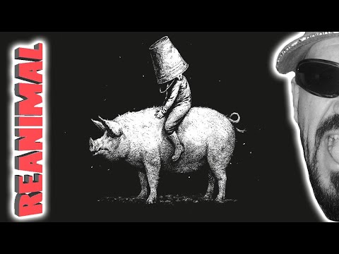 Видео: Пацан с подругой застряли на заброшенном заводе REANIMAL