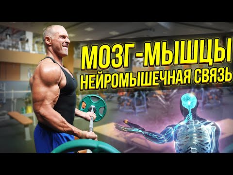 Видео: Связь мозг-мышцы. Тренируйся, думай и расти