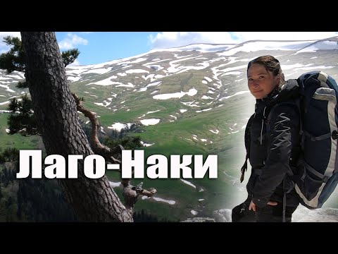 Видео: Лаго-Наки. Азишская пещера. Река Курджипс. Путешествие на моноколесе.