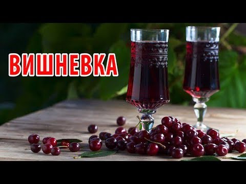 Видео: Отличная вишневая настойка для гурманов