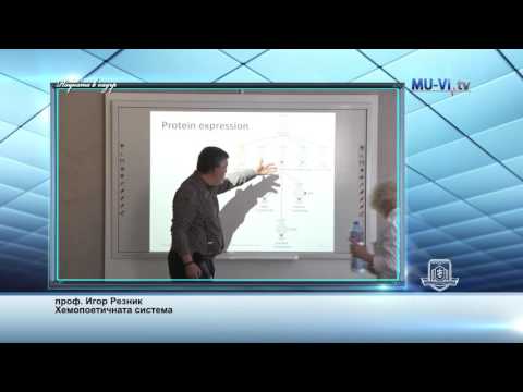 Видео: Лекция на проф. Игор Резник