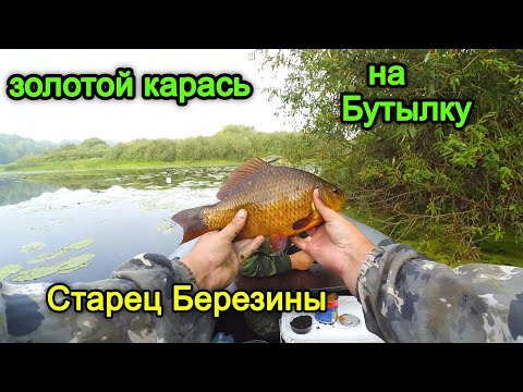 Видео: КАРАСЬ НА БУТЫЛКУ. РЫБАЛКА НА КАРАСЯ.ломивим линя с карасем на бутылки