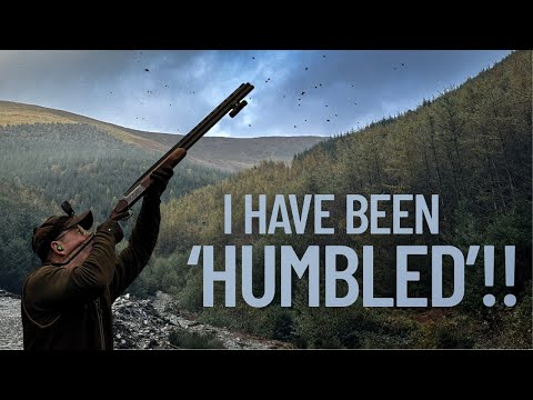 Видео: САМЫЕ ВЫСОКИЕ ПТИЦЫ, КОТОРЫХ Я КОГДА-ЛИБО ВИДЕЛ! | Dream Team, 3-й сезон | СТРЕЛЬБА НА ФАЗАН И КУ...