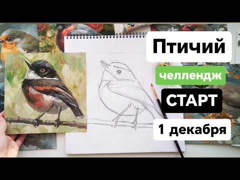 Видео: КАК нарисовать ПТИЦУ маслом. 1 Декабря СТАРТ Птичьего - ЧЕЛЛЕНДЖА.