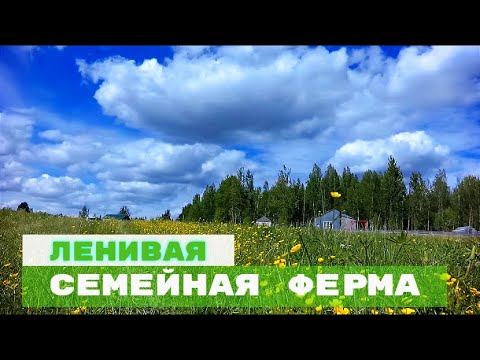 Видео: ДЕЛАЙ МЕНЬШЕ, ПОЛУЧАЙ БОЛЬШЕ!