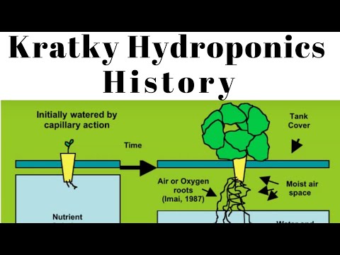 Видео: История метода гидропоники Kratky с подвесным горшком и без циркуляции воды