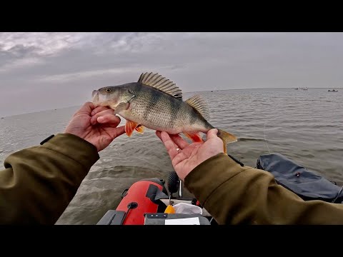 Видео: ЭТА ПРИМАНКА ВСЕГДА ЛОВИТ ОКУНЯ! ЖОР ГОРБАЧЕЙ СПАС ЭТУ РЫБАЛКУ! Весенняя рыбалка 2024.